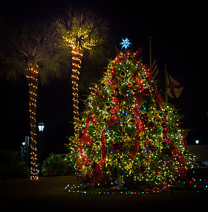 Christmas Tree under the night sky thumbnail