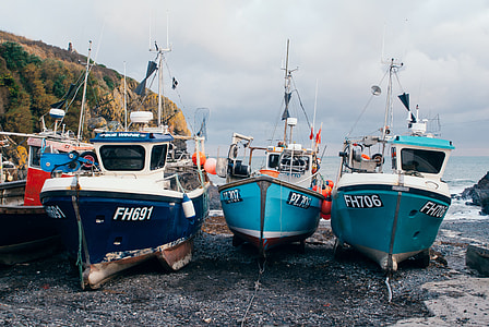 Fishing boats thumbnail