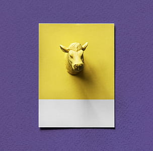 Yellow Bull Head Bust Painting thumbnail
