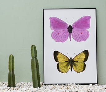 two purple and yellow butterflies painting near two cactus plants thumbnail