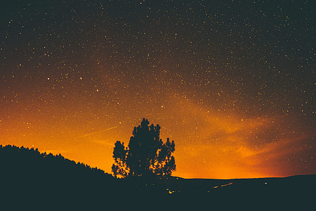 silhouette of tree on hill thumbnail
