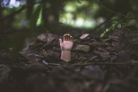 person rising hand on pile of leaves thumbnail