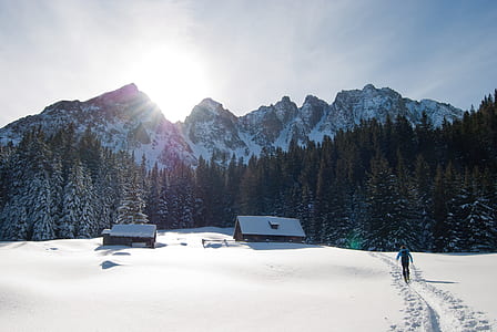 person walking on snow field towards cabin thumbnail