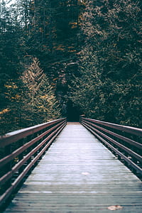 photo of empty bridge heading cave thumbnail