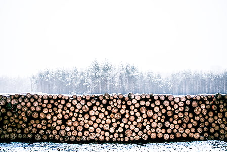 pile of logs udner white sky thumbnail