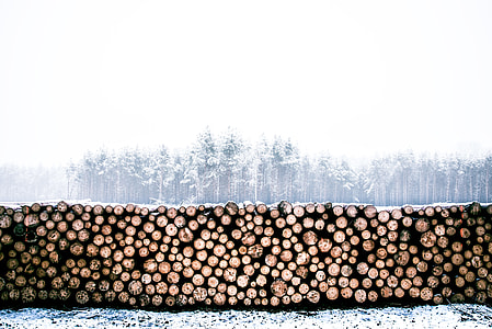 pile of brown wood logs thumbnail
