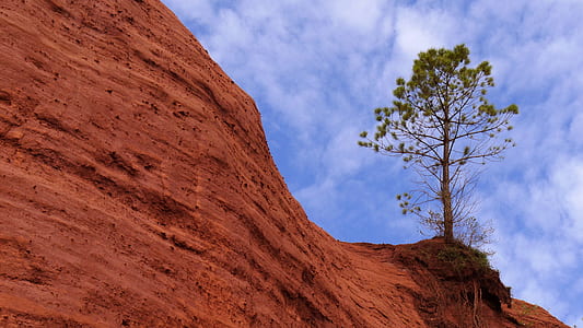 green leaf tree by cliff under white clouds at daytime thumbnail