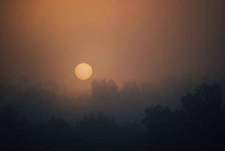 silhouette of trees during sunset thumbnail