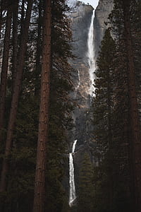 waterfalls near green tall trees thumbnail