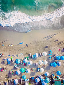 people near seashore during daytime thumbnail