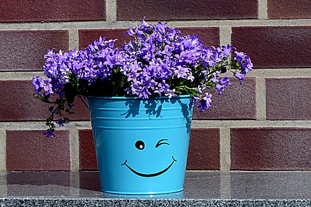 purple petaled flowers on blue steel pot thumbnail