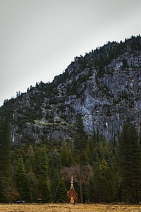 brown house beside trees near mountain thumbnail