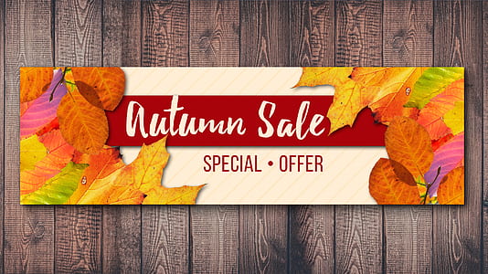 Autumn Sale advertisement thumbnail