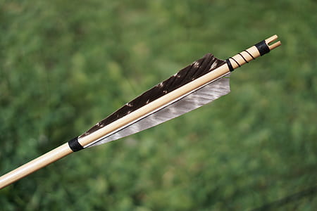 Arrow Feather Stock Selective Focus thumbnail