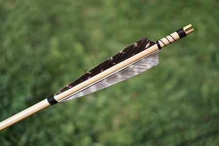close up photography of brown and black feather arrow thumbnail
