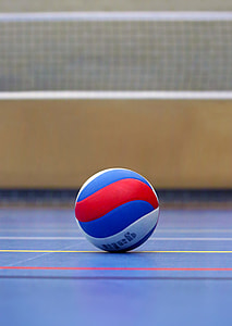 blue, white, and red volleyball ball near white net on ground thumbnail