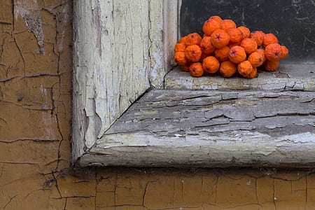 orange fruit on window thumbnail
