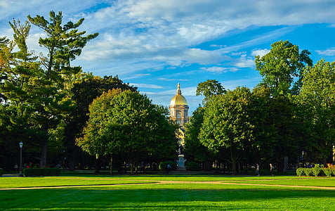 brass-colored tower between trees thumbnail