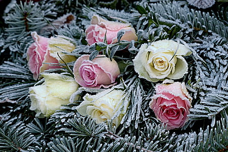 white and pink rose flower arrangement thumbnail