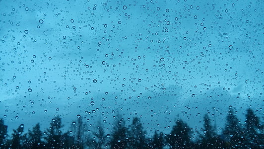 silhouette photo of trees through window thumbnail
