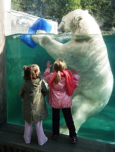 white bear holding blue plastic container thumbnail