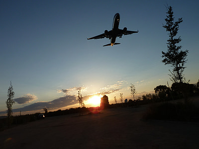 airbus flying above trees during sunset thumbnail