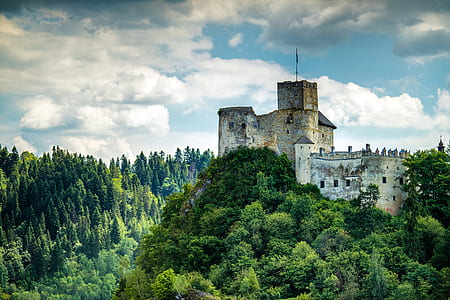 gray castle on top of mountains surrounded by green tree thumbnail