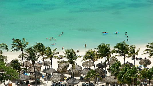high-angle photo of people in beach near hut and coconut trees thumbnail