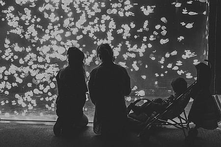 man and woman standing beside aquarium thumbnail