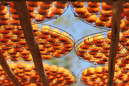 bunch of orange fruit on trays thumbnail