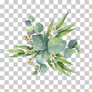 Watercolor painting Flower bouquet Leaf, eucalyptus, green leafed plant PNG clipart