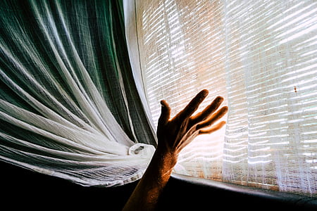 person raising hand beside window thumbnail