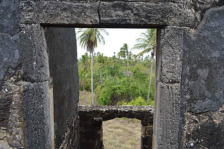 View From The Window Of The Castle thumbnail