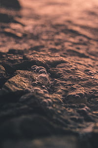 selective focus photo of body of water thumbnail
