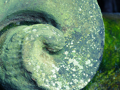Closed Garden Schwetzingen, Snail thumbnail