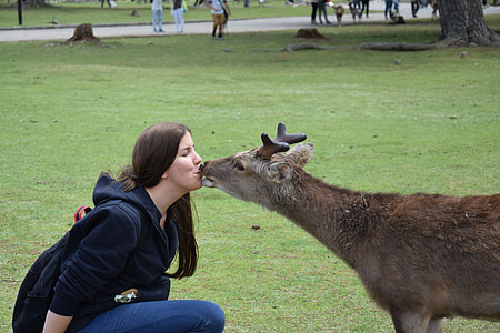 woman kissing on deer on green grass field at daytime thumbnail