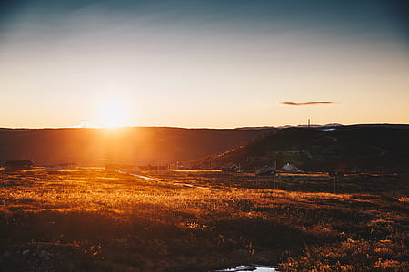 green grass field during golden hours thumbnail