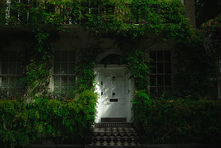 white wooden door thumbnail