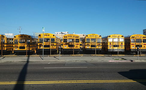 yellow school buses parked on parking space beside road under blue sky at daytime thumbnail