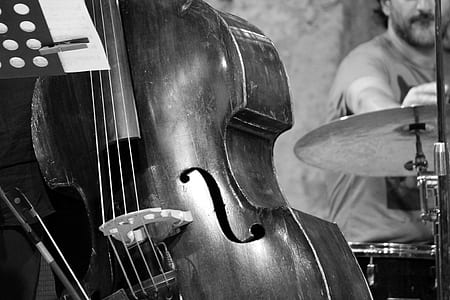 brown double bass thumbnail