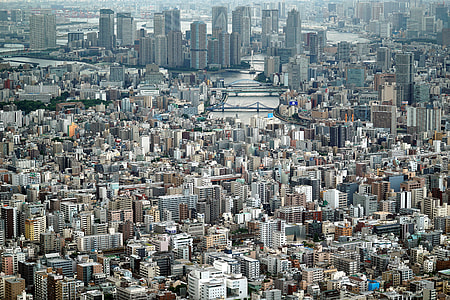 aerial photo of city buildings during day time thumbnail