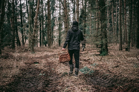 person walking in the middle of forest holding basket thumbnail