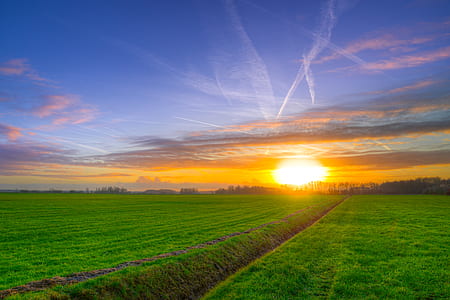 Photography of Green Grass Field during Golden Hour thumbnail