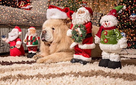 four red-and-white Santa Claus figurines thumbnail