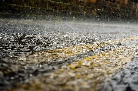 rain, raindrops, seasons, water, macro, element thumbnail