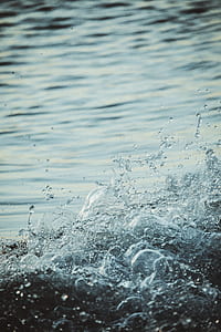 water drop in closeup photography thumbnail