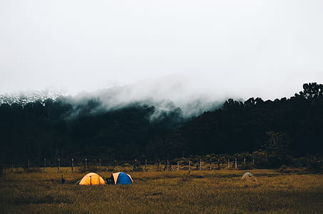 two yellow and blue dome tents on grass near mountain at daytime thumbnail