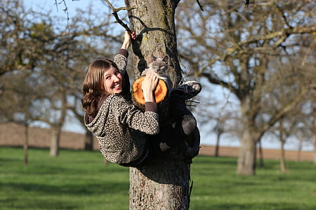 woman climbing on tree thumbnail