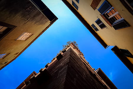 brown concrete building in worms eye photography thumbnail