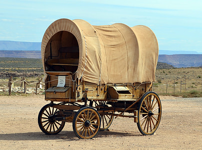 beige carriage on road thumbnail